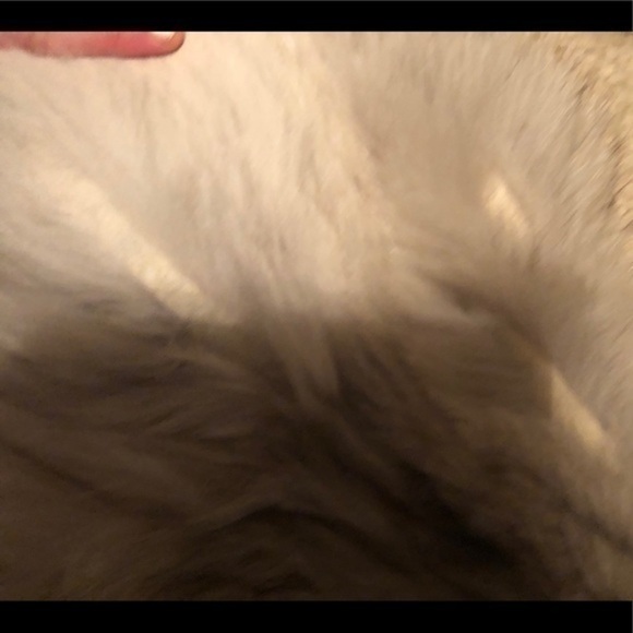 Vintage saga furs fox fur coat - Picture 4 of 4